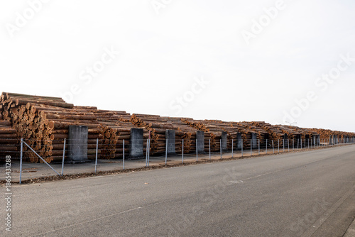 港の丸太置き場