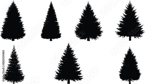 Vector Set of Pine Tree Silhouettes, Collection of Conifer Evergreen Fir Trees, Different Shapes Black Isolated Graphic, Forest Christmas Nature and Holiday Design Elements.