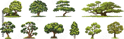 Whimsical tree illustrations, cartoon forest elements, diverse foliage, colorful nature graphics, educational greenery set, landscape design assets, seasonal vegetation icons