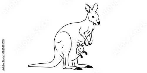 Kangaroo mother with joey in pouch Australian animal vector illustration black and white