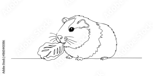 Continuous one line of a guinea pig eating lettuce, symbolizing care and tenderness, drawn vector illustration.