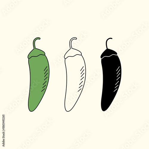 Green chili illustration. Chili illustration with three different styles. vector illustration.