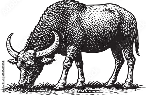 Buffalo Grazing Linocut Etching Black and White Wildlife Illustration