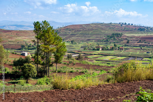 Schilderij op canvas Madagascar, landscape with fertile fields in the southern highlands