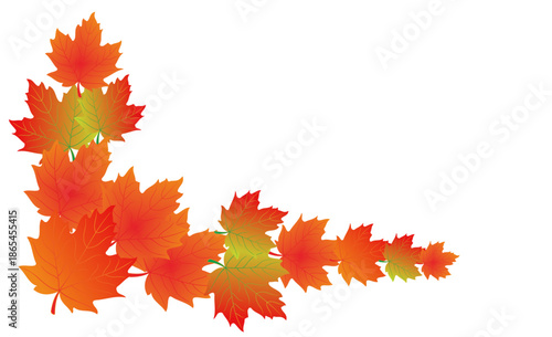 red leaves for frames and others