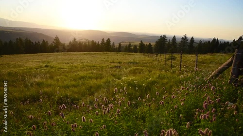 Agricultural Evening Sun