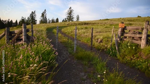 Wire Gate Over Remote Two Track