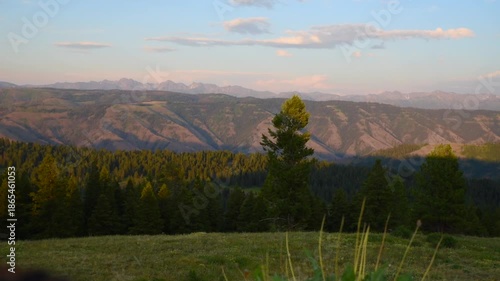 Evening Light On Forested Canyon Walls