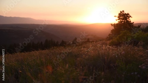 Warm Tones At Sunset