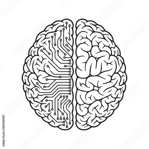 Human brain vs artificial intelligence concept vector. Half circuit board technology and half organic biological mind illustration representing logic and creativity.
