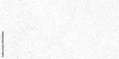 Rough black and white texture vector. Distressed overlay texture. Grunge background. Abstract textured effect. Vector Illustration. Black isolated on white background. EPS10.