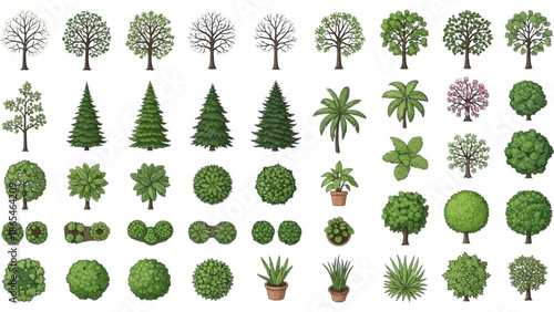 Top-Down Tree and Plant Vector Icons for Architectural Floor Plans