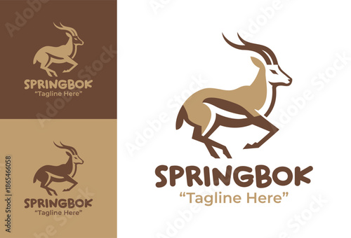 Springbok Logo Modern Minimalist African Identity