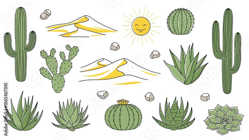 Hand drawn desert landscape elements with various cacti and succulents.