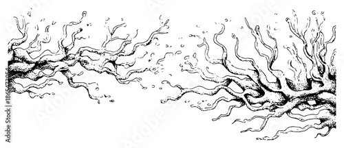 Hand drawn sketch of twisted tree roots or gnarled branches reaching