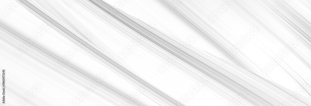 Fototapeta premium abstract white panorama and silver are light pattern gray with the gradient is the with floor wall metal texture soft tech diagonal background black dark clean modern.