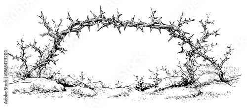 Arch of thorny branches forming a decorative border frame