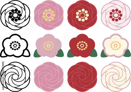 camellia-1-2-3-all-set