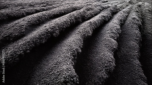 Dark soil furrows create a textured natural pattern