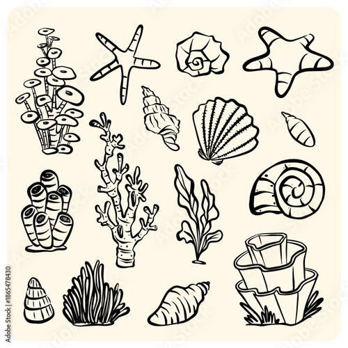 Underwater Marine Life Ink Drawing Collection with Shells and Coral