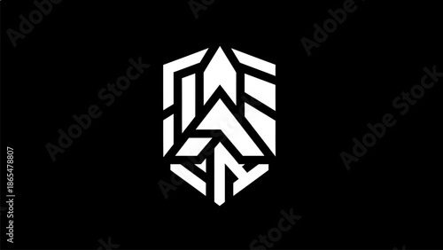 Modern geometric logo design with abstract black and white shape