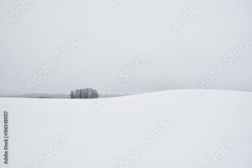 富良野　冬　雪景色