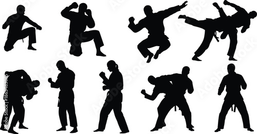 Martial arts silhouettes vector set, fighters practicing karate, judo and jujitsu, combat sports athletes in action poses, training and self defense icons, isolated.