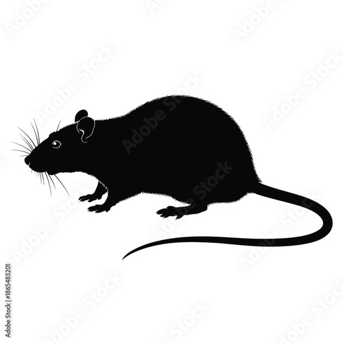 A simple black silhouette of a rat in a standing position
