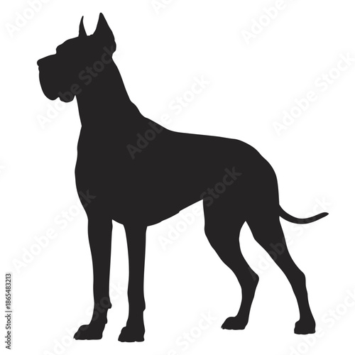 A striking silhouette of a majestic great dane standing in profile