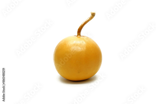 Apple shape gourd isolate on white background. Bottle Gourd, Calabash Gourd, Flowered Gourd