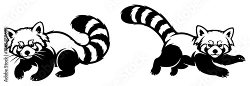 Cute red panda black and white vector mascot illustrations in walking and running poses