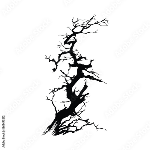 Silhouette of bare twisted tree without leaves