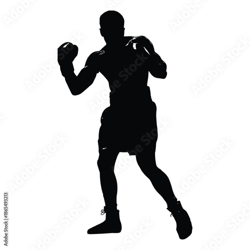 Male boxer posing in fighting stance silhouette
