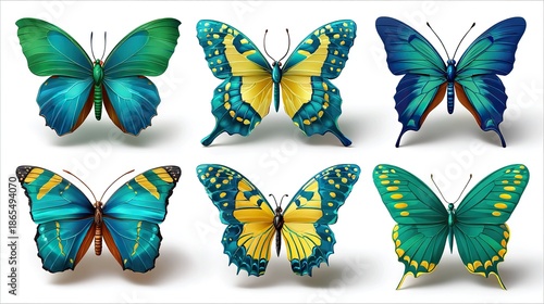 Enchanting Array of Butterflies: A captivating collage showcases six vibrant butterflies, each with unique patterns and a stunning array of colors, creating a symphony of nature's artistry.