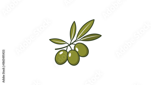 Illustration of green olives on a small branch with leaves.