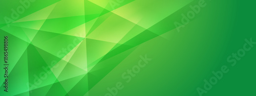 Mesmerizing view with shades of green light, perfect for backgrounds or concepts related to nature, serenity, and peaceful settings