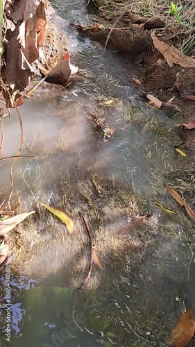 Muddy stream water flowing on forest floor with fallen leaves. Shallow creek with brown water and dry leaves in woodland. Closeup of dirty water runoff with leaf litter in nature. 