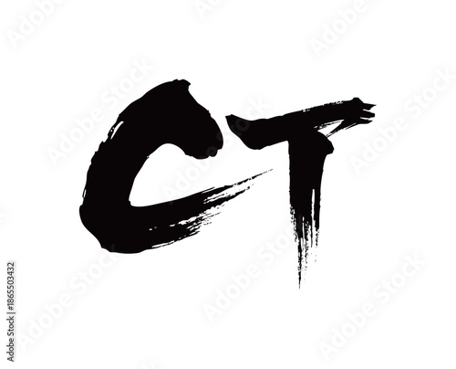 CT矢量书法手写毛笔字
