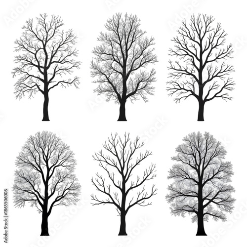 Six distinct stylized trees with detailed branches, ideal for seasonal designs and natural aesthetics