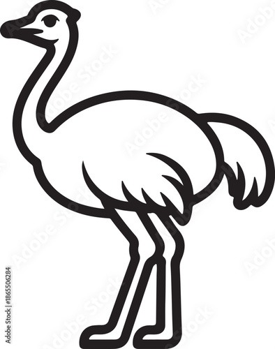 Ostrich Line Art Illustration, Coloring Book Page Line Art Drawing	