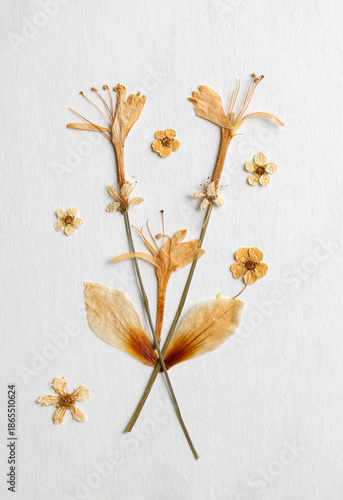 Beige dried flower arrangement