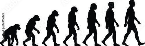 Human evolution silhouette sequence showing primate to modern man walking progression isolated on white background illustration concept history anthropology timeline