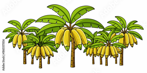 Tropical Banana Tree Vector Illustration Set, Exotic Banana Tree Collection in Flat Style