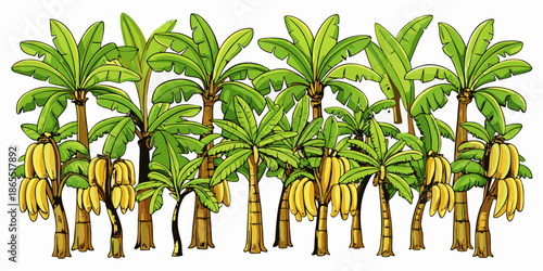 Tropical Banana Tree Vector Illustration Set, Exotic Banana Tree Collection in Flat Style