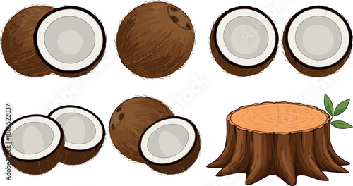 Detailed collection of whole coconuts, sliced coconut halves, and a tree stump vector illustration isolated on white background.