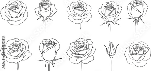 Elegant set of hand-drawn rose flower line art illustrations featuring various blooming stages and floral outlines for romantic designs.