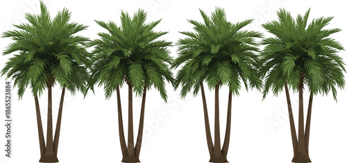 Lush tropical palm tree cluster illustration in detailed flat vector style ideal for landscaping architectural designs and nature-themed graphic projects CAD drawing