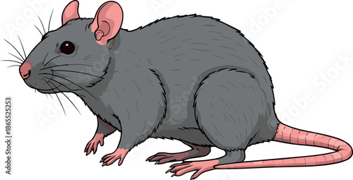 Cartoon grey mouse character in a crouching pose with a set of skull and crossbones warning icons for pest control and danger concepts.