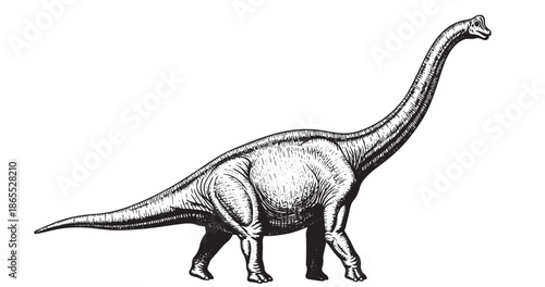 Brachiosaurus dinosaur profile portrait in antique engraving illustration