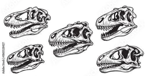 Dinosaur skull tattoo engraving with dark vintage etching details